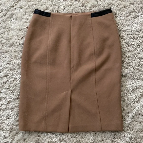 Skirt - Picture 2 of 3